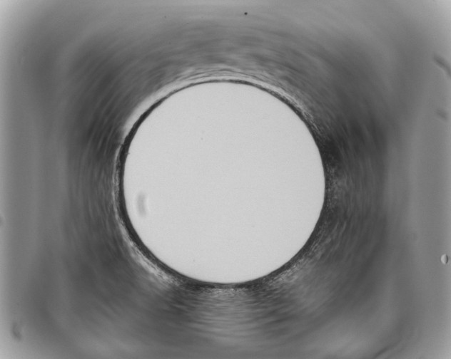 X0000097771518200803281628