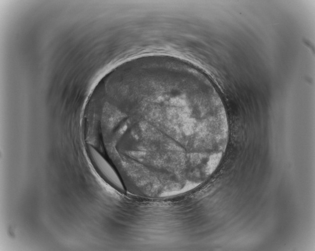 X0000097771519200803281628