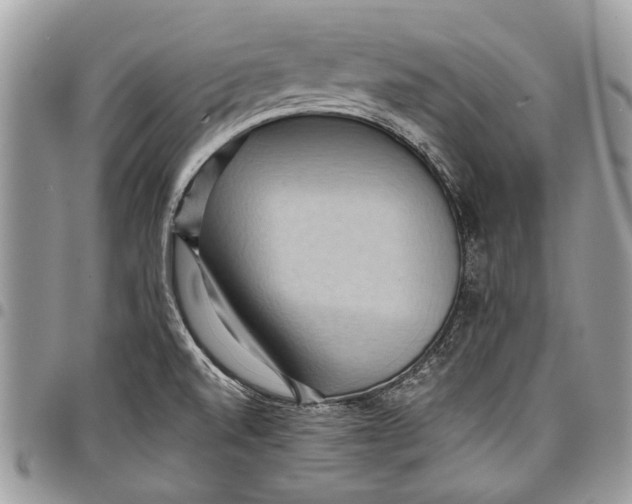 X0000097771520200803281628