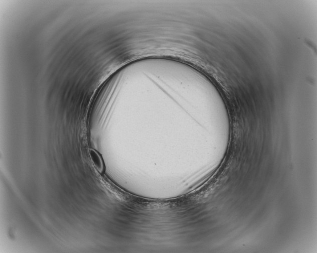 X0000097771521200803281628