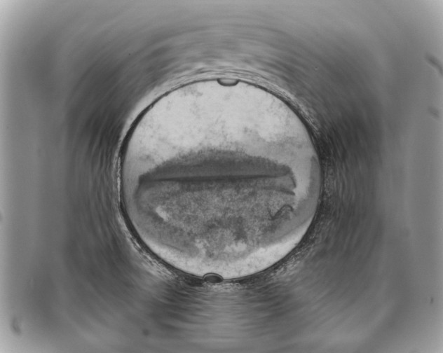 X0000097771522200803281628