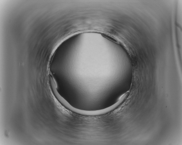 X0000097771524200803281628