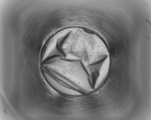 X0000097771525200803281629