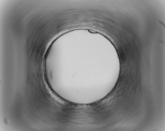 X0000097771526200803281629