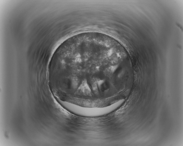 X0000097771527200803281629