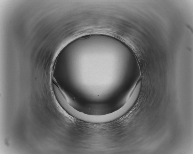 X0000097771528200803281629