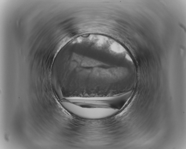 X0000097771529200803281629