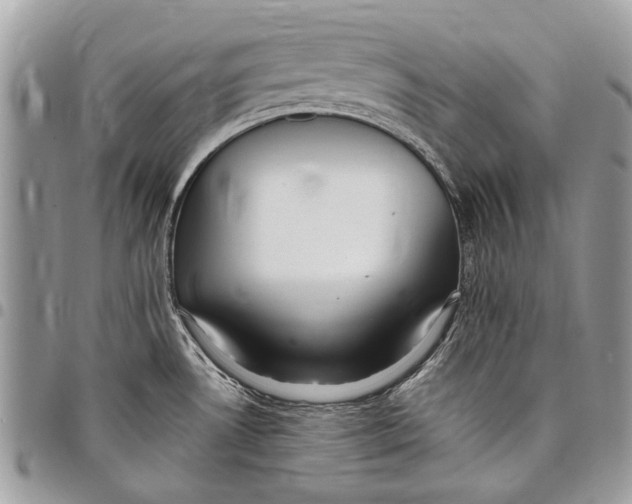 X0000097771530200803281629