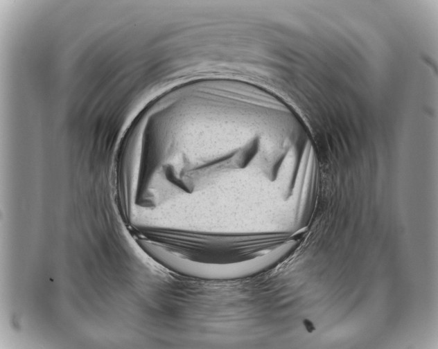 X0000097771531200803281629