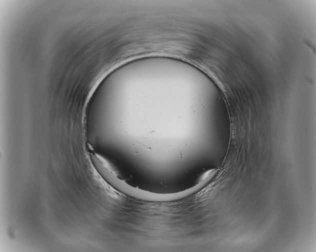 X0000097771532200803281629