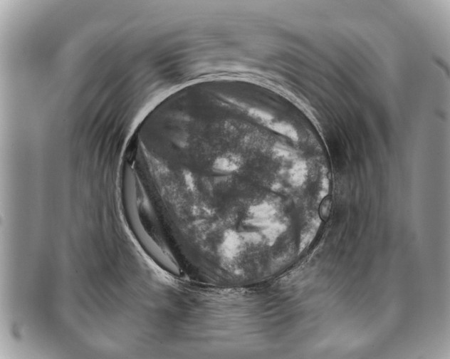 X0000097771533200803281629