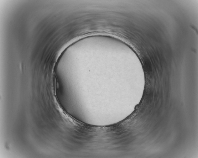 X0000097771534200803281629