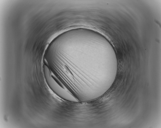 X0000097771535200803281629