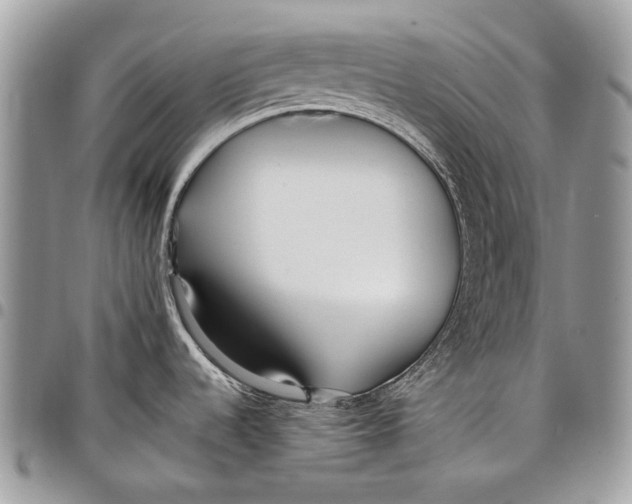 X0000097771536200803281629