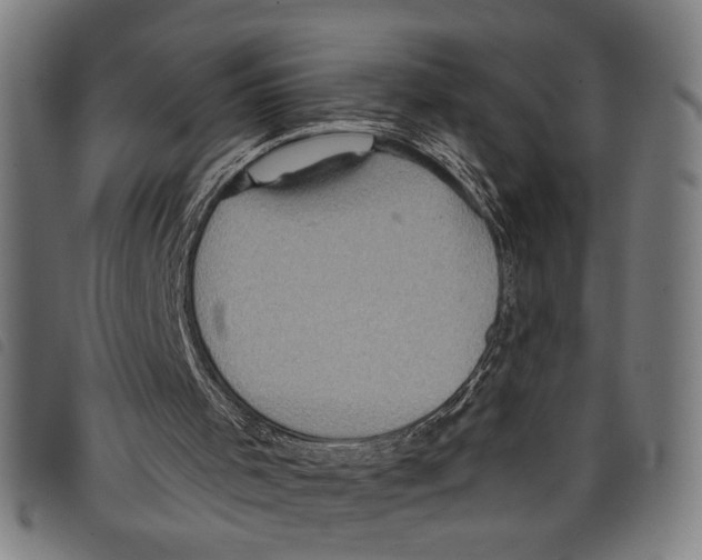 X0000097770001200804041202