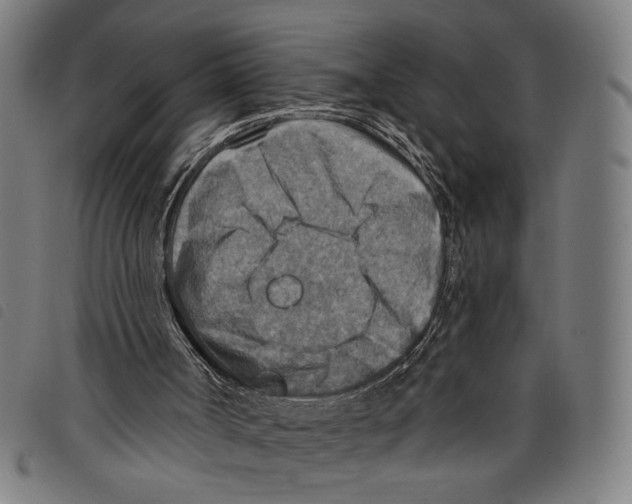 X0000097770002200804041202