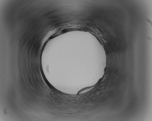 X0000097770003200804041202