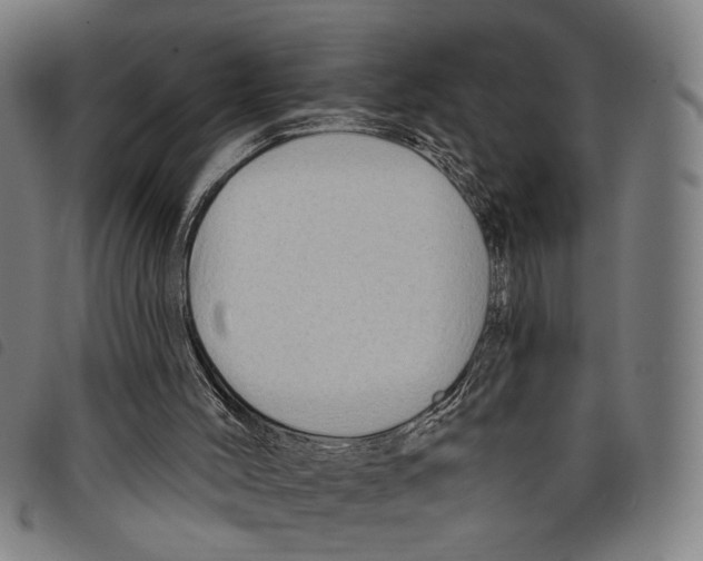 X0000097770004200804041202