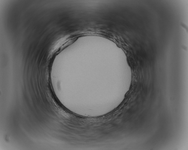 X0000097770005200804041202