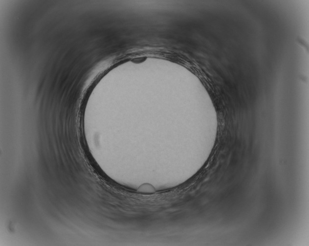 X0000097770006200804041202