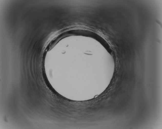 X0000097770007200804041202