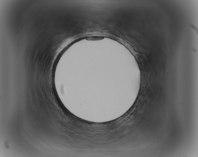 X0000097770008200804041202