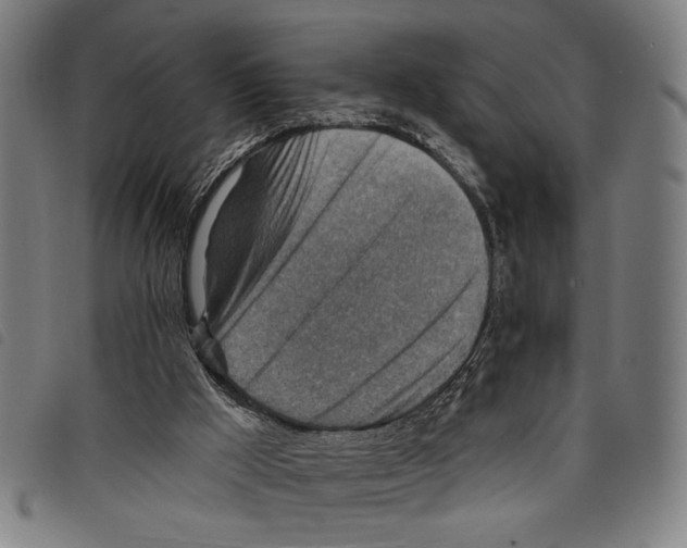 X0000097770009200804041202