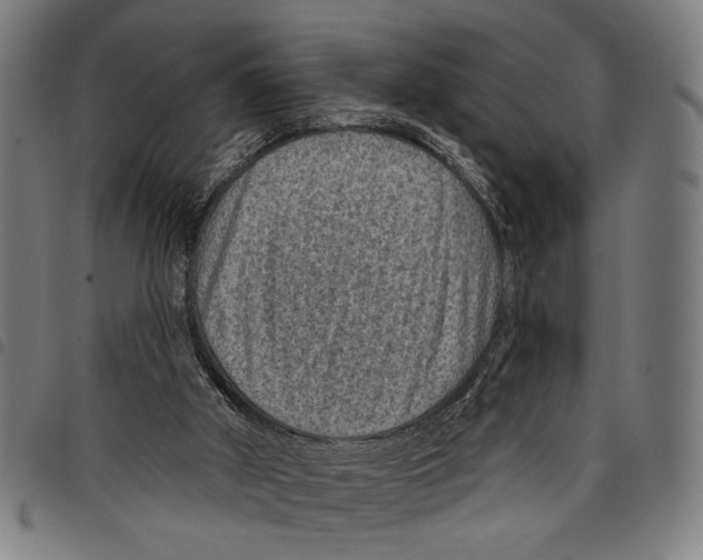 X0000097770010200804041202