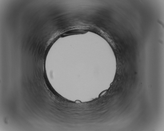 X0000097770011200804041202