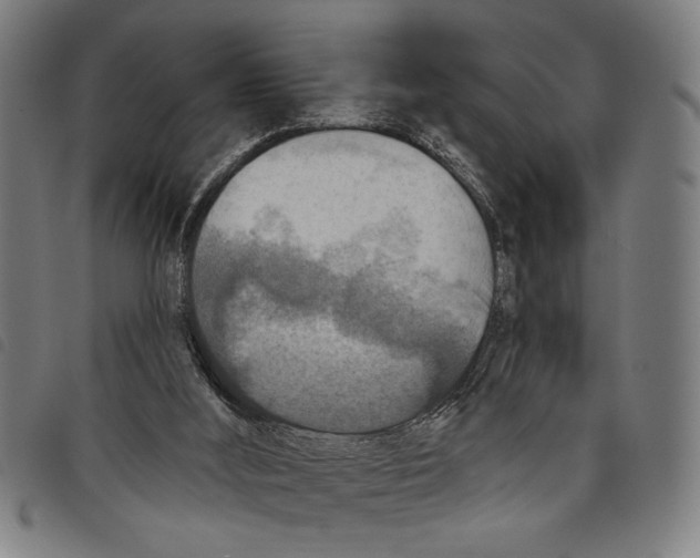 X0000097770012200804041202