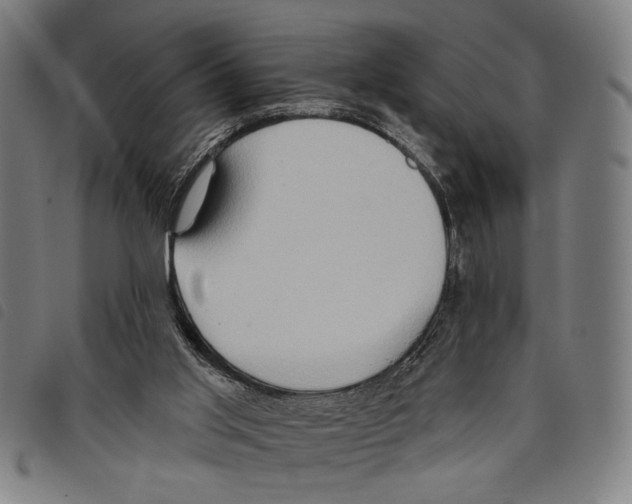 X0000097770013200804041202