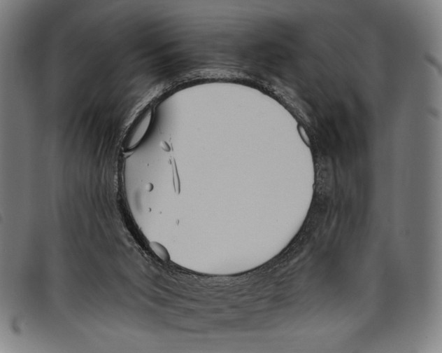 X0000097770015200804041202