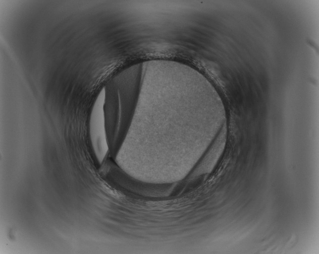 X0000097770017200804041202