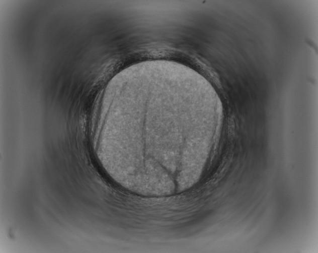 X0000097770018200804041202