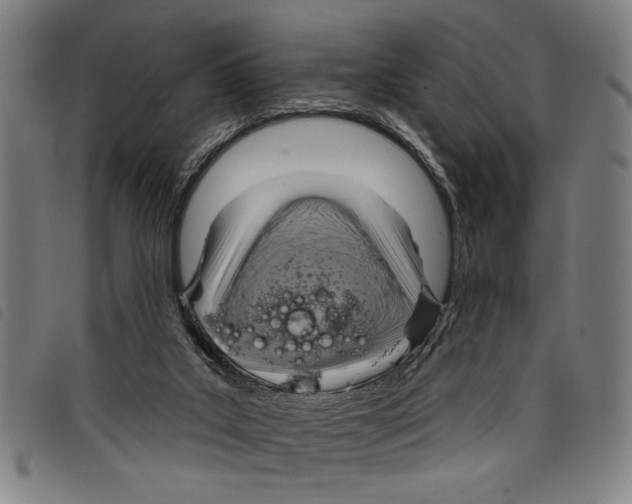 X0000097770019200804041202