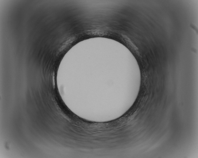 X0000097770020200804041202