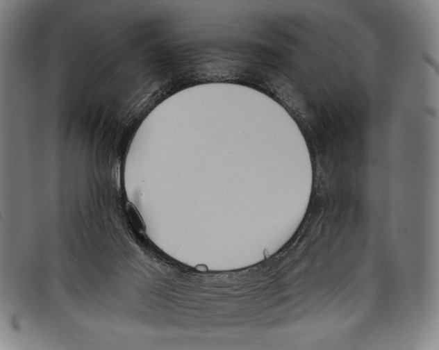 X0000097770021200804041202
