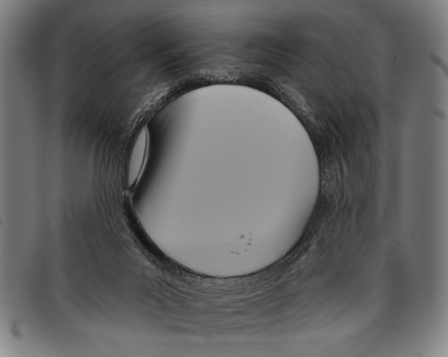 X0000097770023200804041202