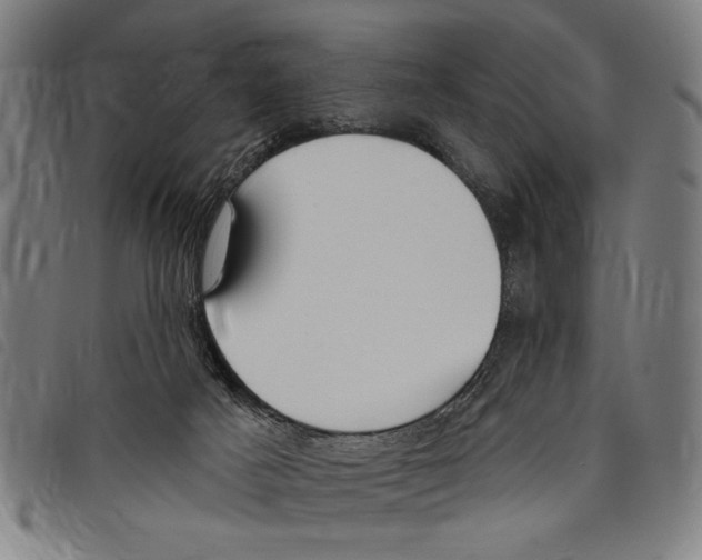 X0000097770025200804041202