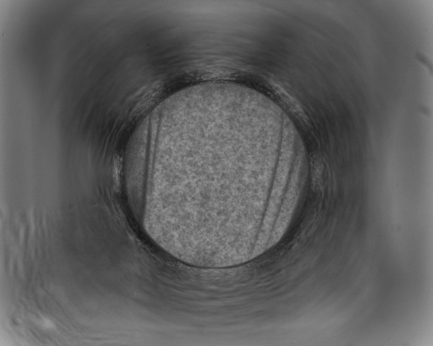 X0000097770026200804041202