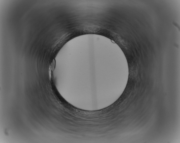 X0000097770027200804041202