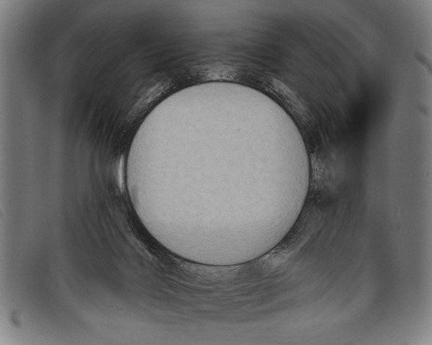 X0000097770028200804041202