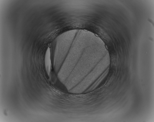 X0000097770029200804041202