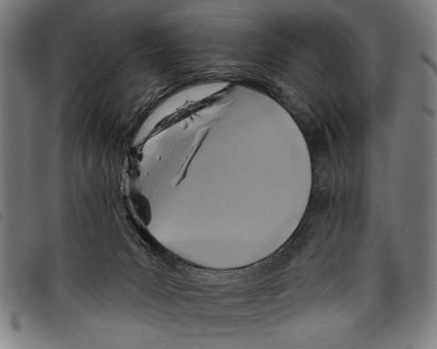 X0000097770031200804041202