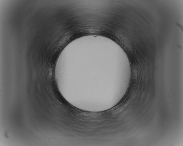 X0000097770032200804041202