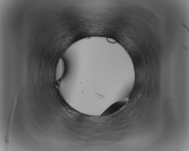 X0000097770033200804041202