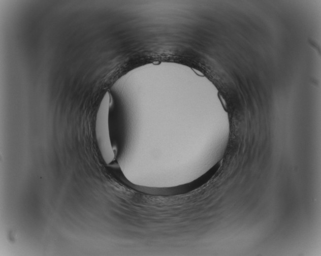 X0000097770037200804041202