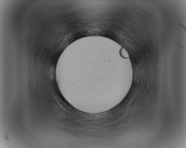 X0000097770038200804041202