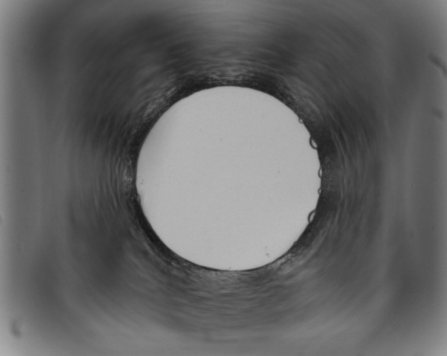X0000097770040200804041202