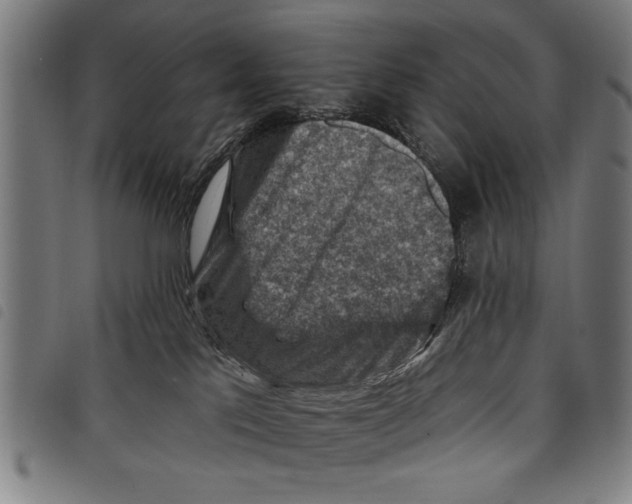 X0000097770041200804041202